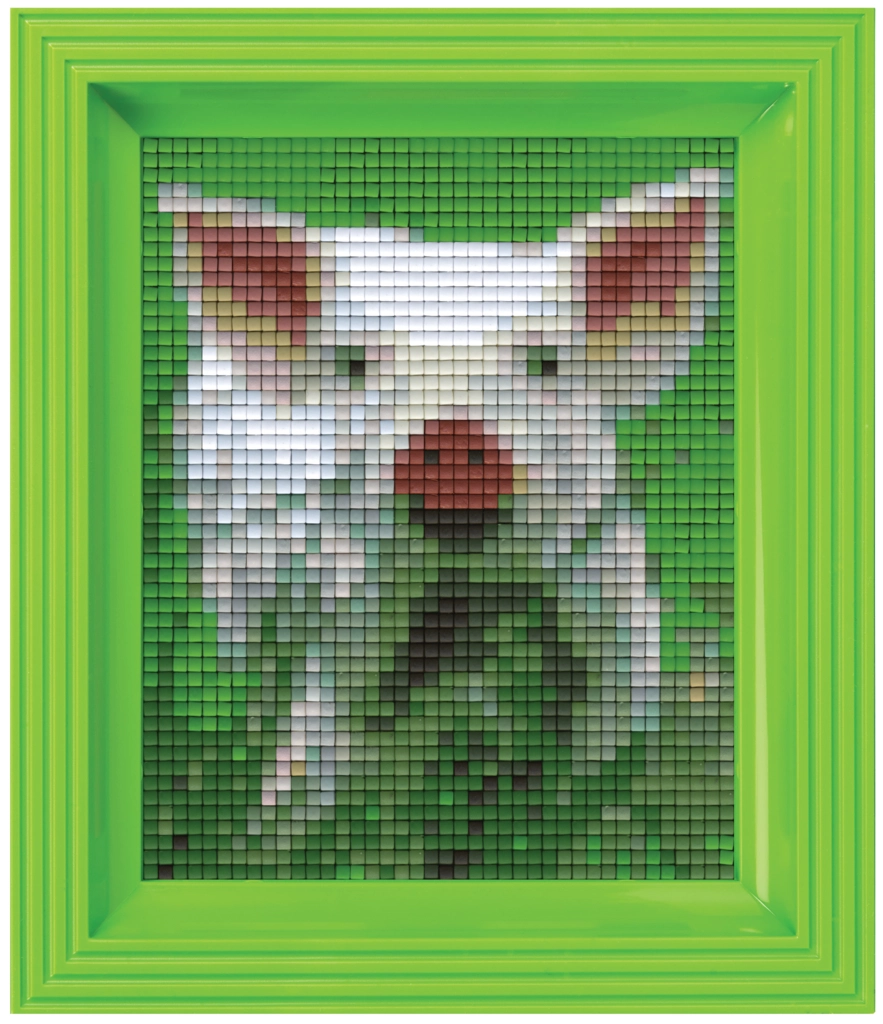 Geschenkverpakking met 30 pixelmatjes - Varkentje