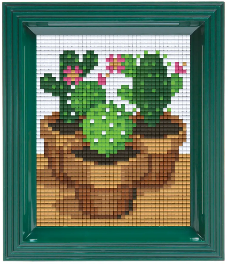 Geschenkverpakking met 20 pixelmatjes - Cactus