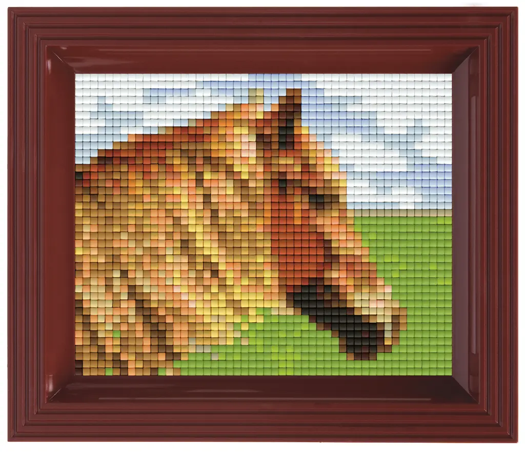 Geschenkverpakking met 35 pixelmatjes - Paard